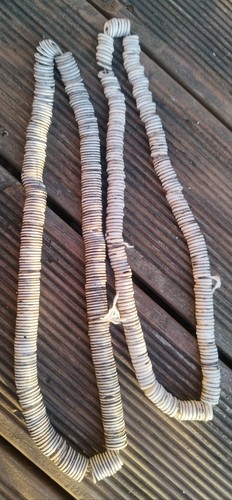 Knochenscheiben