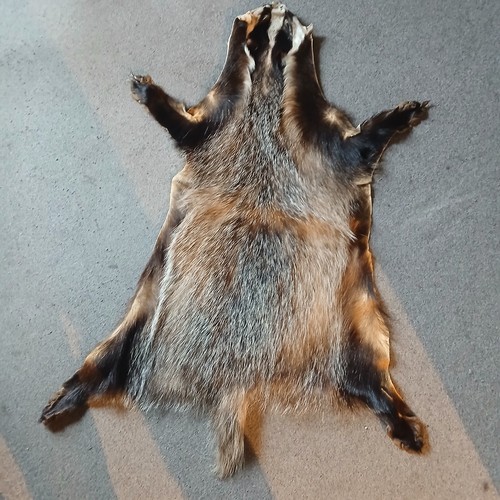 Dachsfell