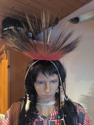 Plains tanz roach - tanz,