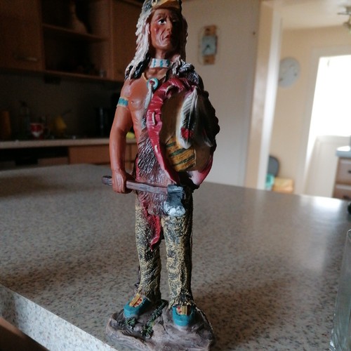 Indianer native usa - native,